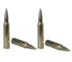 INSAS 5.56 MM BALL AMMN